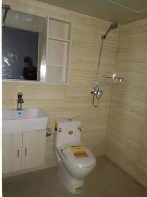 Waterproof SMC Bathroom Wall Set Integrated SMC Molded Bathroom Wall Pane