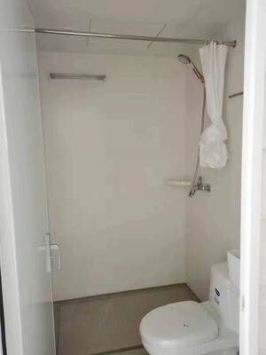 SMC Compression Molding One Piece Bathroom Wall Set ower Wall 5. SMC Integrated Bathroom Wall Panel Waterproof System