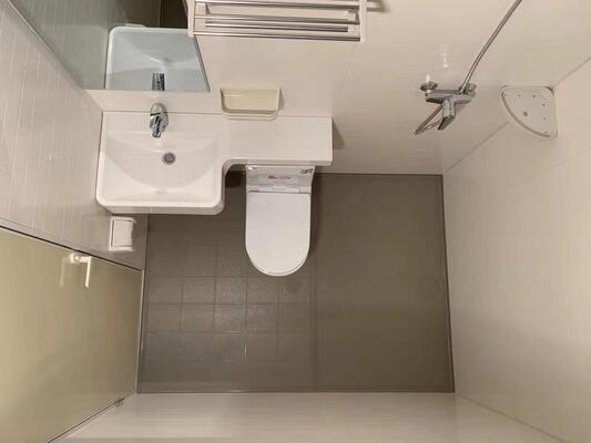 componentes modulares de banheiro em SMC para tetos compostos duráveis, painéis de parede úmida